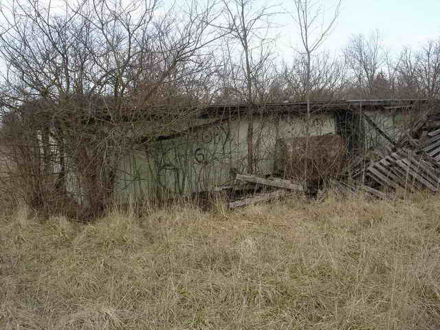 Speedway Auto Theatre - 2006 Photo